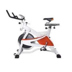 Vélo d'Appartement HOLLAN-BOT - Vélo d'exercice intérieur - Courroie Stationnaire Ultra-Silencieux